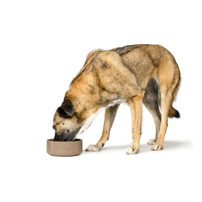 Dog Feeder Hunter OSBY Beige Ceramic 550 ml