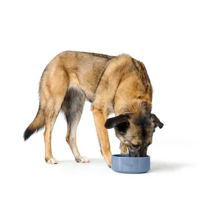 Dog Feeder Hunter OSBY GLAZED Blue Ceramic 2,5 L