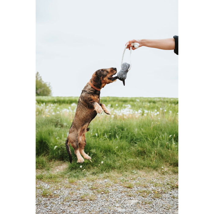 Dog toy Hunter NEBRASKA Grey Horse