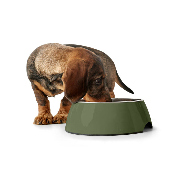 Dog Feeder Hunter Green 160 ml
