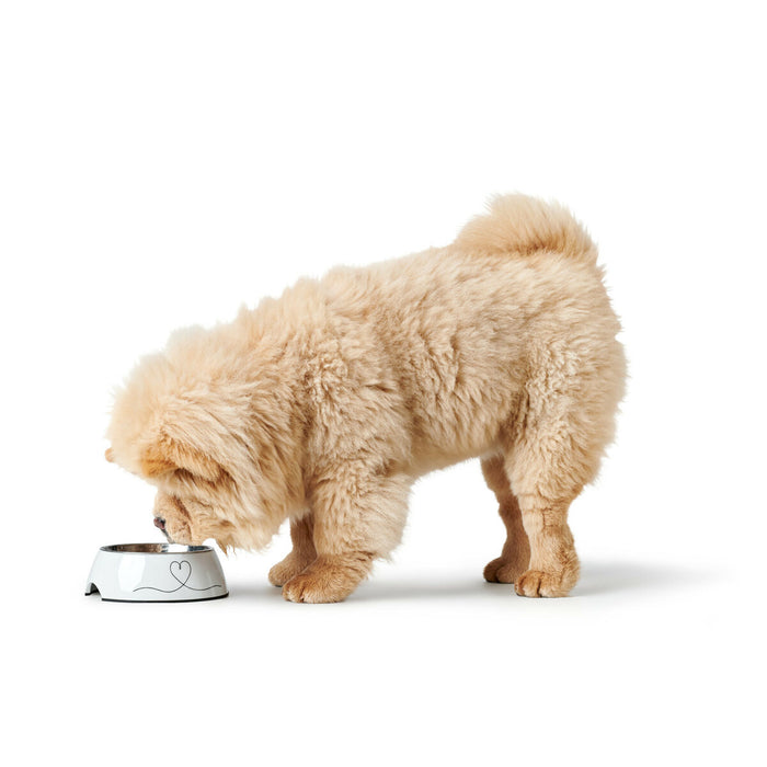 Dog Feeder Hunter Valencia White 350 ml