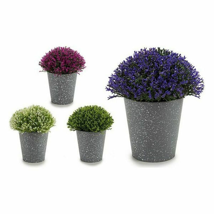 Decorative Plant Ibergarden Plastic 14 x 15 x 14 cm 14 x 16 x 14 cm (12 Units)