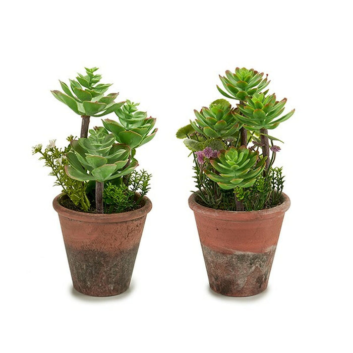 Decorative Plant Ibergarden Plastic Succulent 16 x 23 x 16 cm (12 Units)
