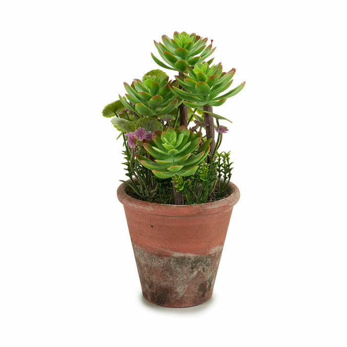 Decorative Plant Ibergarden Plastic Succulent 16 x 23 x 16 cm (12 Units)