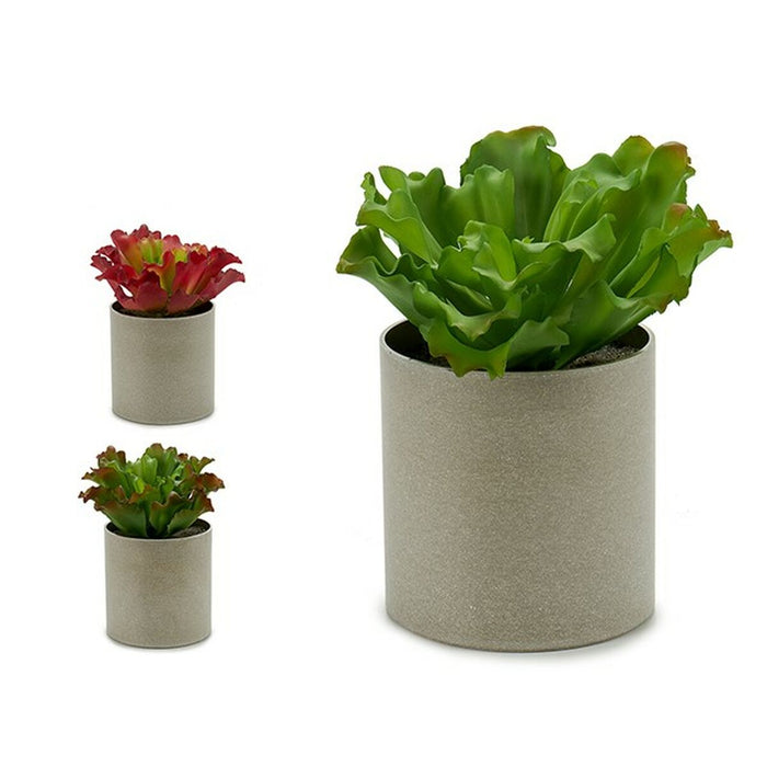 Decorative Plant Ibergarden 20 x 25 x 20 cm (6 Units)