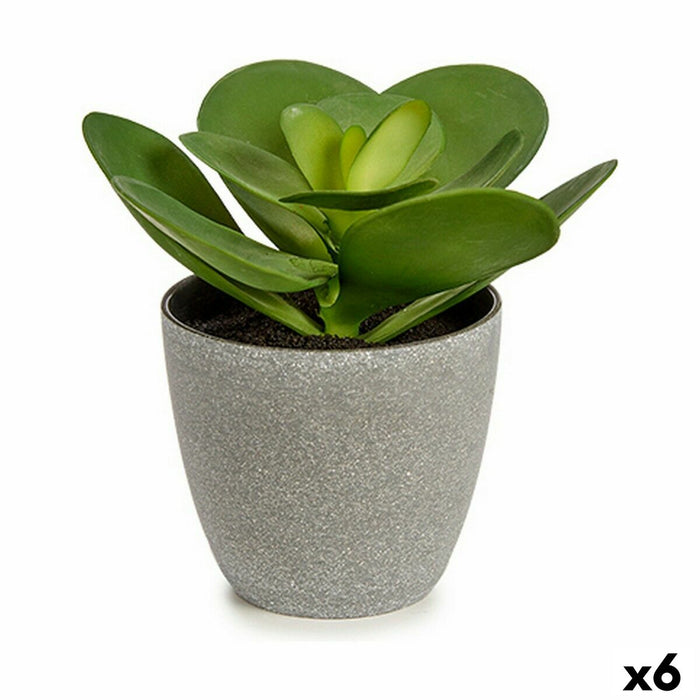 Decorative Plant Ibergarden Plastic 18 x 18,5 x 18 cm (6 Units)