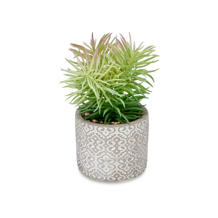 Decorative Plant Ibergarden Wood Polyethylene Plastic Cement Succulent 12 x 22 x 12 cm (8 Units)