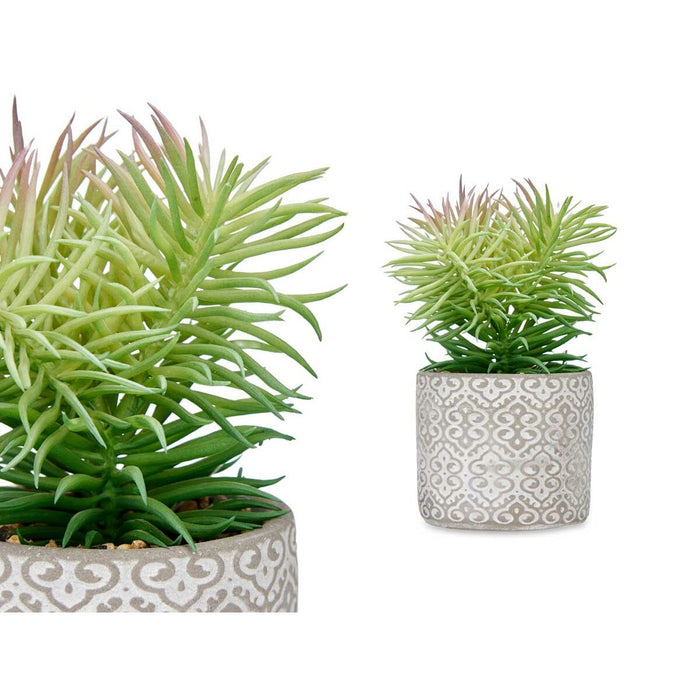Decorative Plant Ibergarden Wood Polyethylene Plastic Cement Succulent 12 x 22 x 12 cm (8 Units)