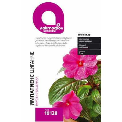 IMPATIENCE SEEDS LACTOPHOL BOTANICAL - Семена<<<Семена луковици и разсад<<<Градина<<<Praktiker