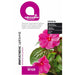 IMPATIENCE SEEDS LACTOPHOL BOTANICAL - Семена<<<Семена луковици и разсад<<<Градина<<<Praktiker