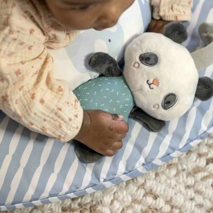 Play mat Ingenuity