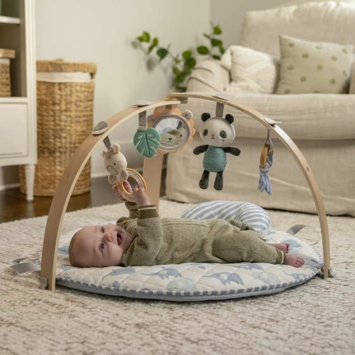 Play mat Ingenuity