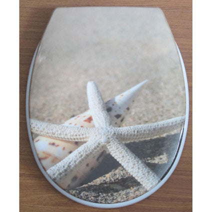TOILET SEAT INTER CERAMIC STAR