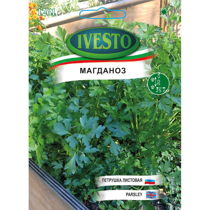 LARGE PARSLEY SEEDS IVESTO