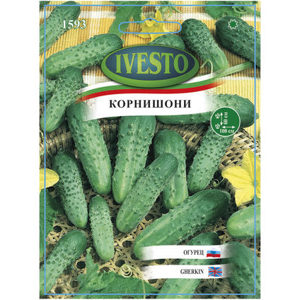MOXIE F1 IVESTO CORICHER SEEDS