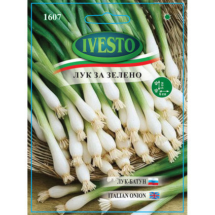 SHAVEL IVESTO ONION SEEDS FOR LINKS