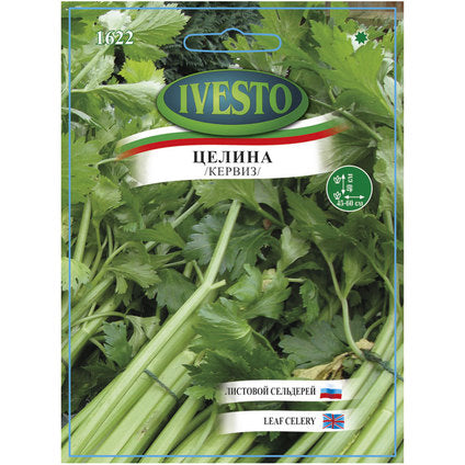 IVESTO LEAF CELERIE SEEDS