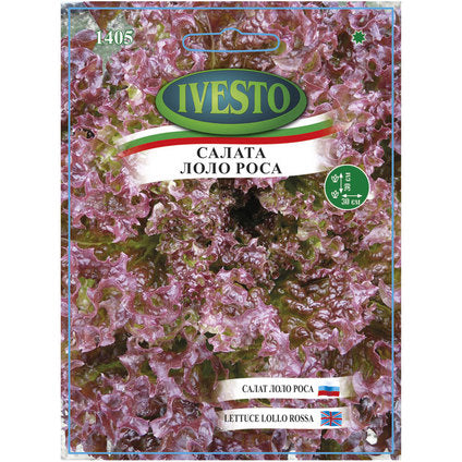 SEED SALAD LOLO ROSA IVESTO