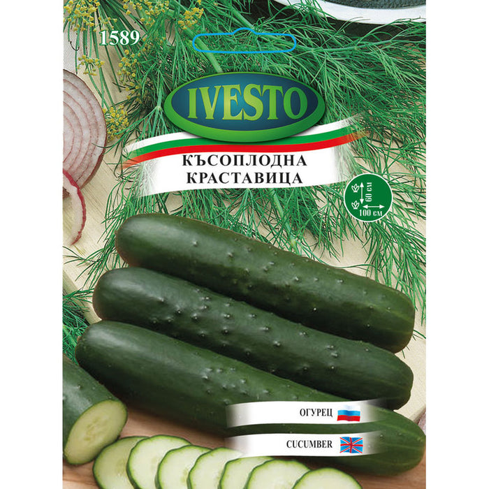 SEED CUCUMBER IVESTO