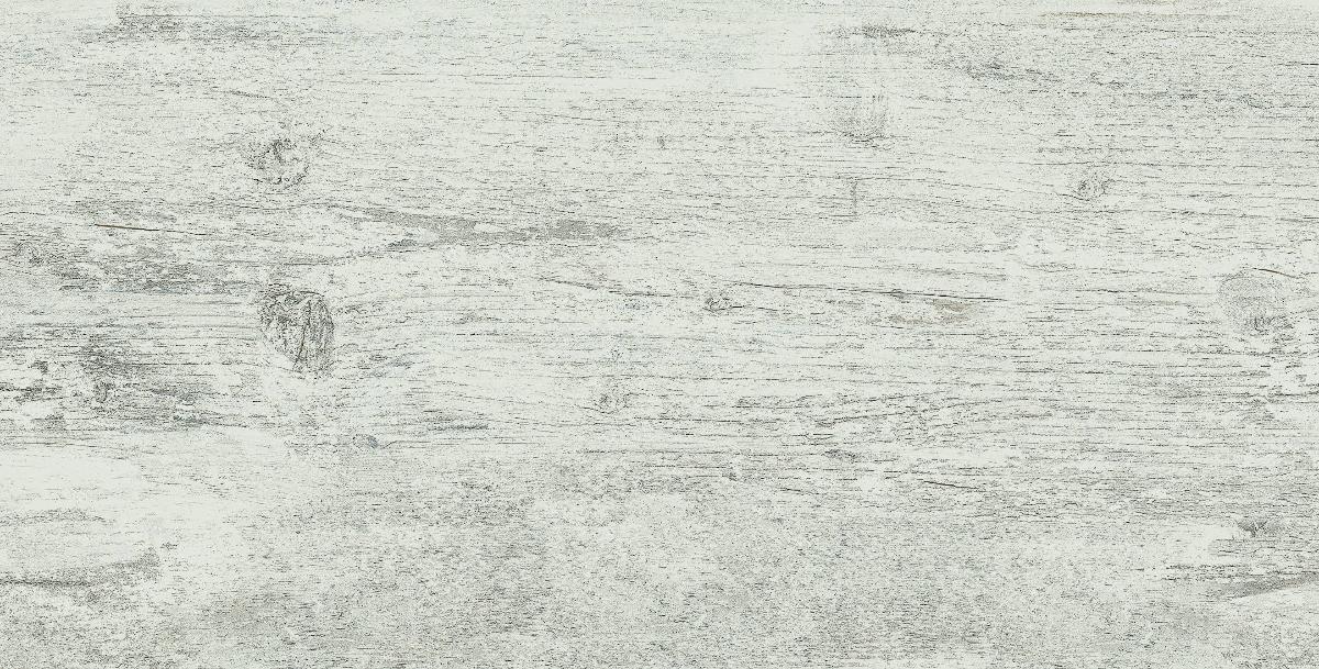 GRANITOGRES 30.3X60.6 FOSSIL GRAY