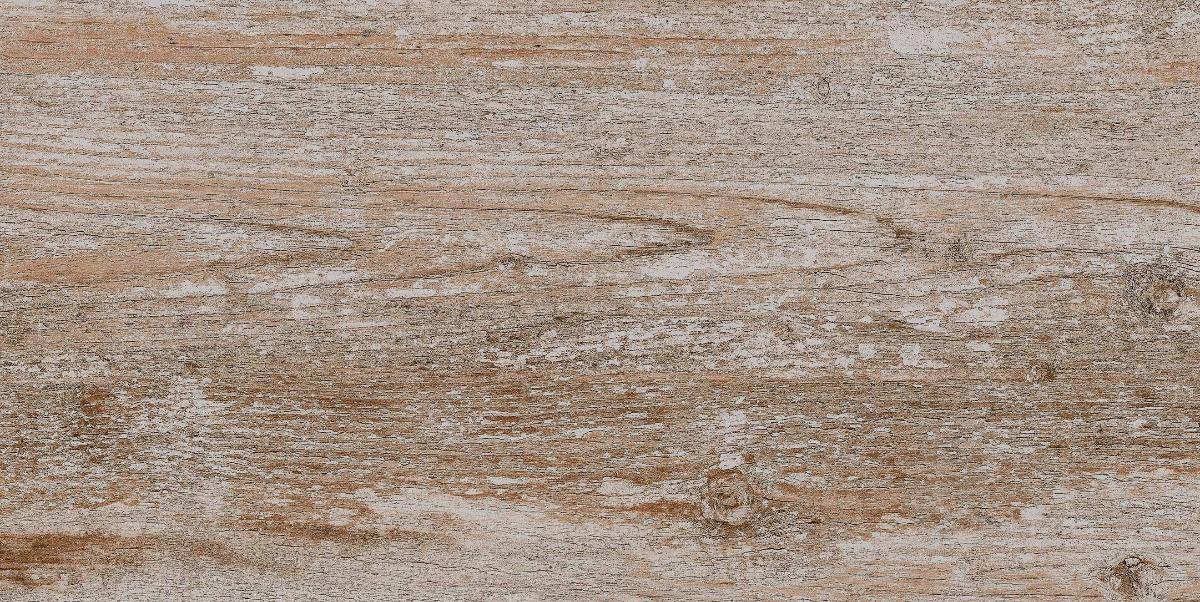 GRANITOGRES 30.3X60.6 FOSSIL BROWN