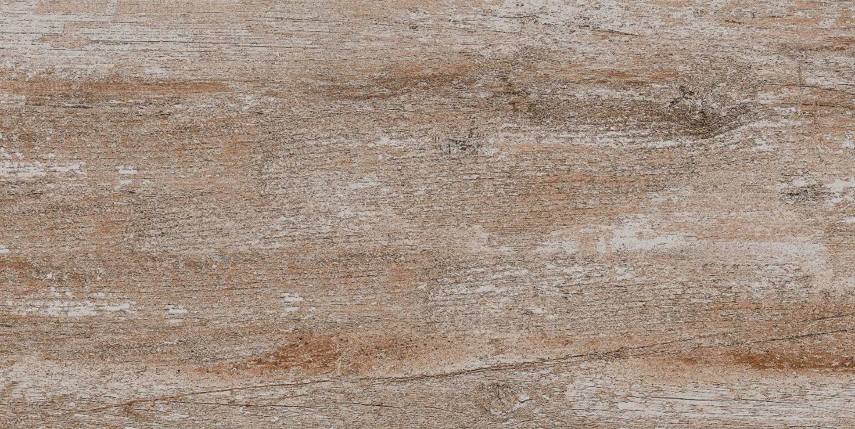 GRANITOGRES 30.3X60.6 FOSSIL BROWN
