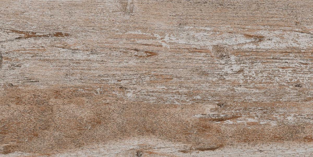 GRANITOGRES 30.3X60.6 FOSSIL BROWN