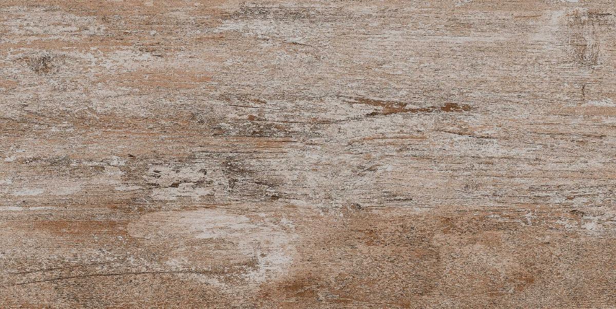 GRANITOGRES 30.3X60.6 FOSSIL BROWN