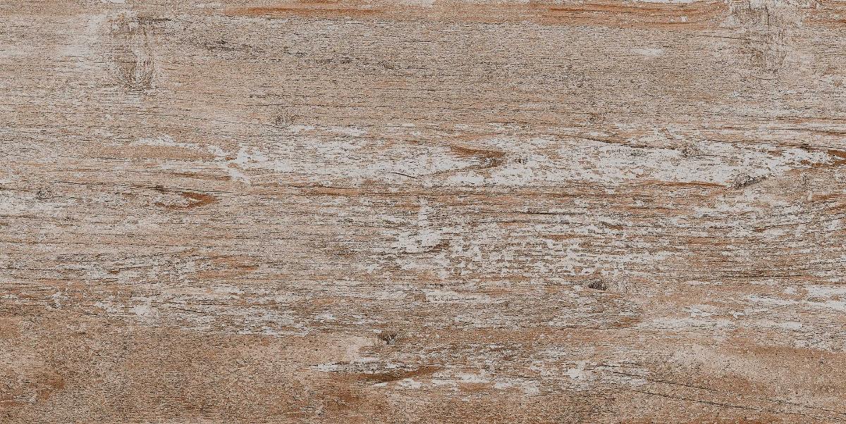 GRANITOGRES 30.3X60.6 FOSSIL BROWN