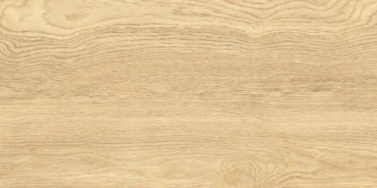 PORCELAIN TILE LEONARDO NATURAL 30.3X60.6
