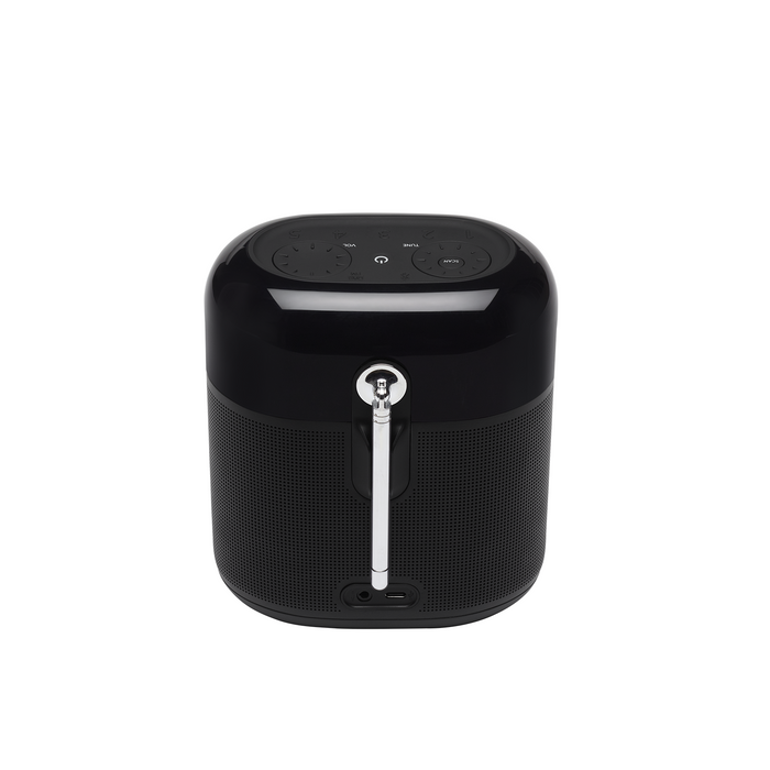 Bluetooth speaker with radio JBL Tuner XL Black