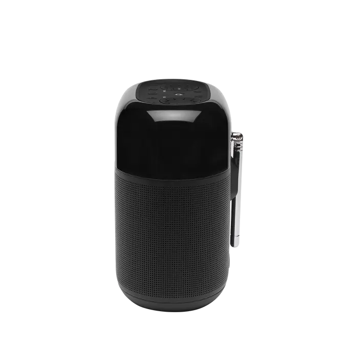Wireless speaker JBL Tuner XL, black