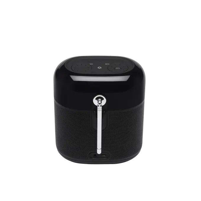 Wireless speaker JBL Tuner XL, black