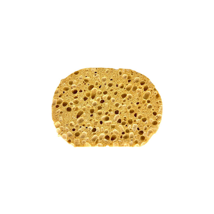 SPONGE FOR DECORATIVE EFFECTS JEGER