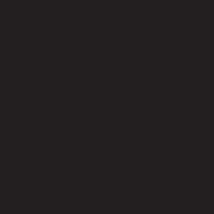 PAINT FOR RENOVATION BLACK 0.5 L JEGER