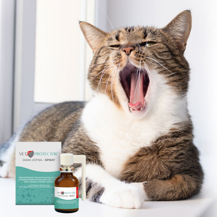 JM SANTE Vet Protector Oral cavity spray – liquid for the oral cavity for dogs and cats - 30 ml