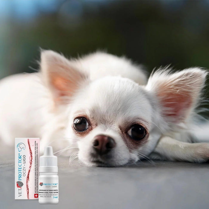 JM SANTE Vet Protector Ligo - eye drops for dogs and cats – 3 ml