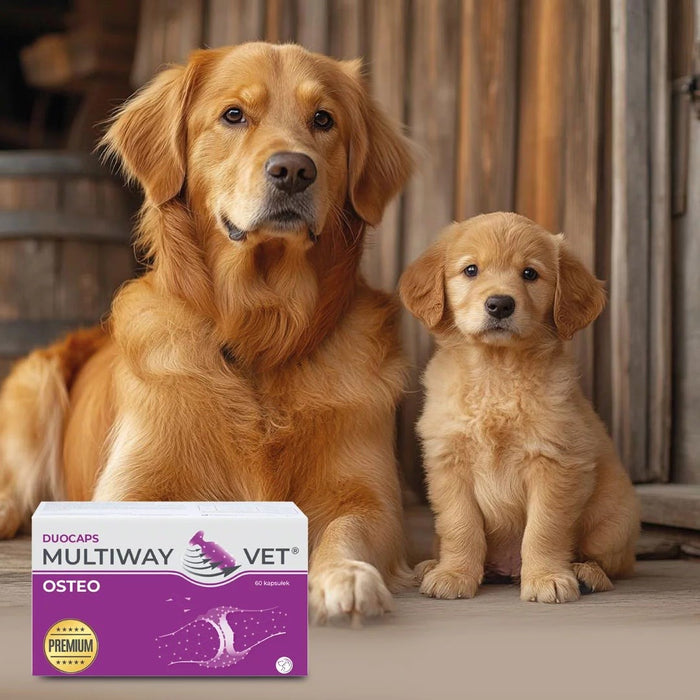 JM SANTE Multiway Vet Duocaps Osteo - twist-off capsules for joints for dogs and cats – 60 pcs