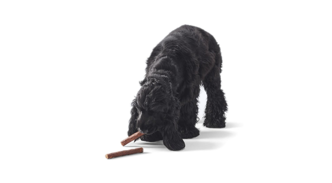 JOHN DOG Boar sticks - Dog treat - 50 g