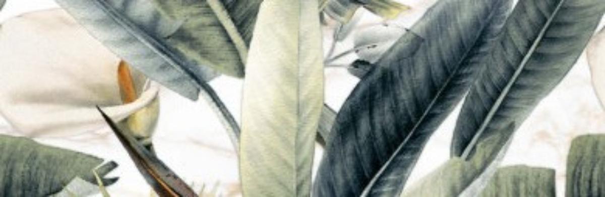 DECOR 73.2X74.4 BREEZE TROPICAL WHITE