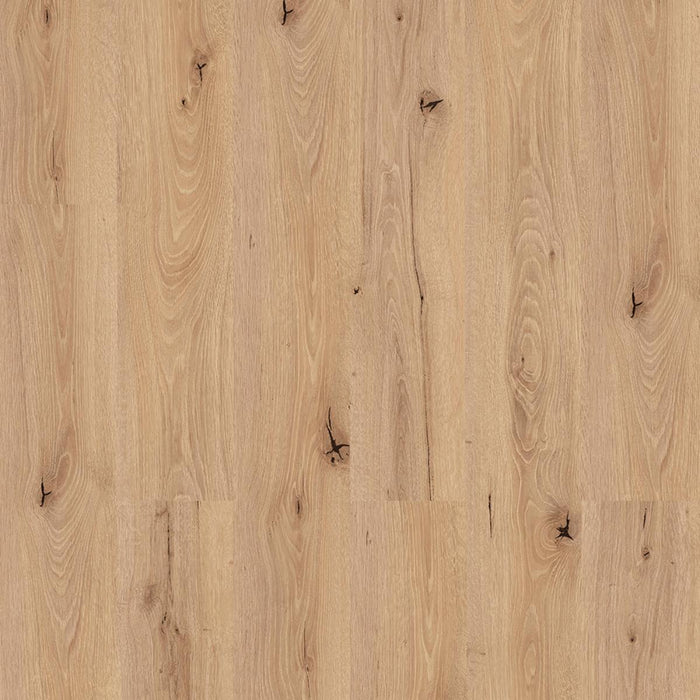LAMINATE 8MM 32/AC4 FC088 OAK DEEP