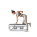 Kingsmith FBB1C multifunctional training bench - Exercise benchesSIF-LAW<<<Gym and fitnessSIF<<<ActionPL
