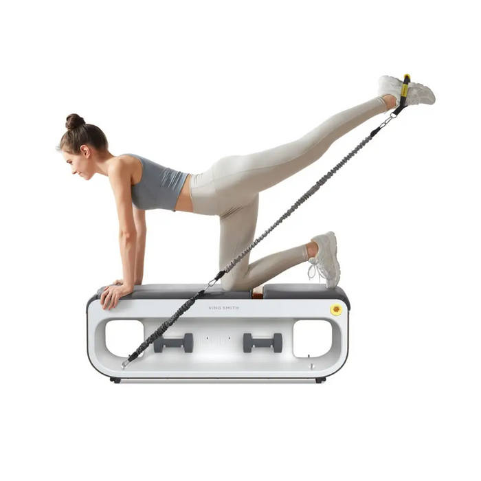 Kingsmith FBB1C multifunctional training bench - Exercise benchesSIF-LAW<<<Gym and fitnessSIF<<<ActionPL