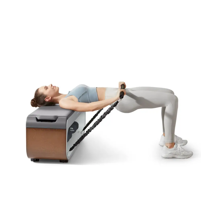 Kingsmith FBB1C multifunctional training bench - Exercise benchesSIF-LAW<<<Gym and fitnessSIF<<<ActionPL