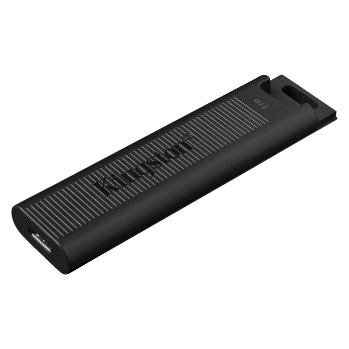 USB memory KINGSTON DataTraveler Max, 1TB