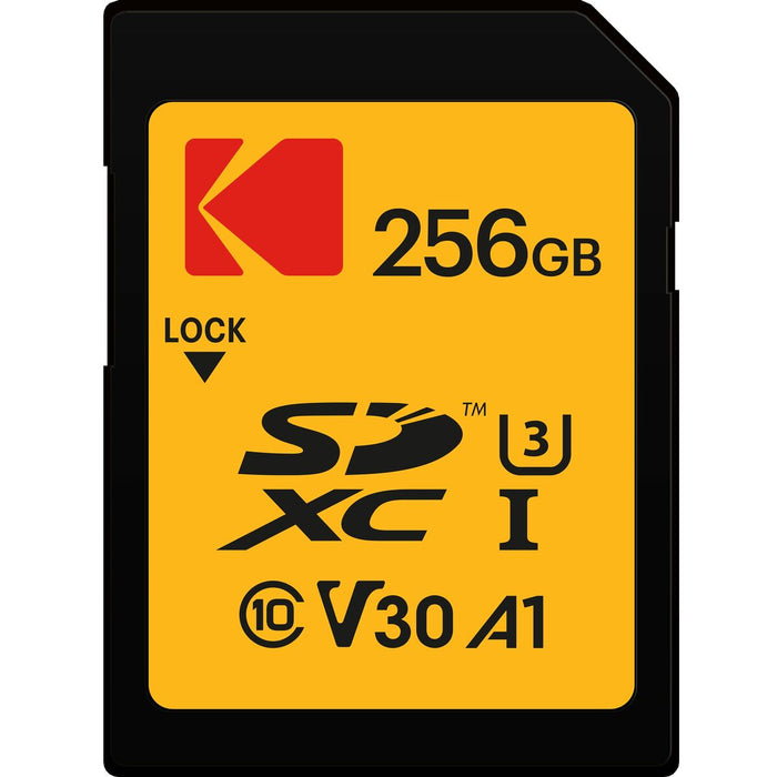 Memory Card Kodak EKMSD256GXC10HPRK