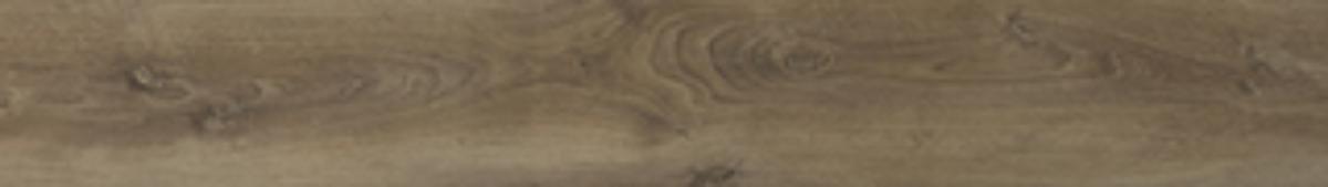 LAMINATE 8MM AC3/31 2590 OAK SILENCE