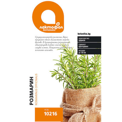 SEEDS ROSEMARY LACTOPHOL BOTANY