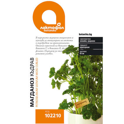CURLY PARSLEY SEEDS LAKTOFOL BOTANICA