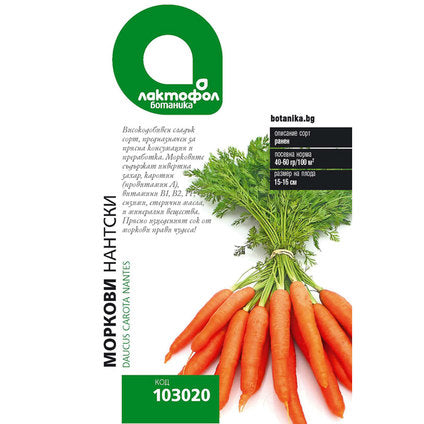 CARROT SEEDS NANTES LAKTOFOL BOTANICA